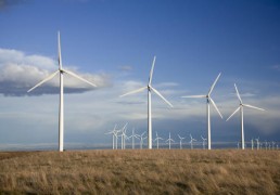 Japan to launch new energy policy by summer